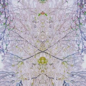 Meet your Posher, Mechelle